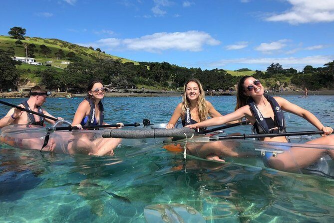 Clearyak hire at Goat Island Marine Reserve - The Itinerary and Experience