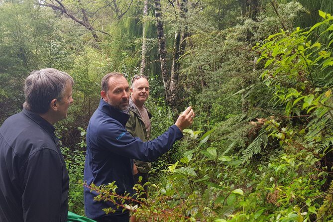 Coast and Rainforest Eco-Tour from Auckland with Picnic Lunch - The Practicalities and What You’ll Get