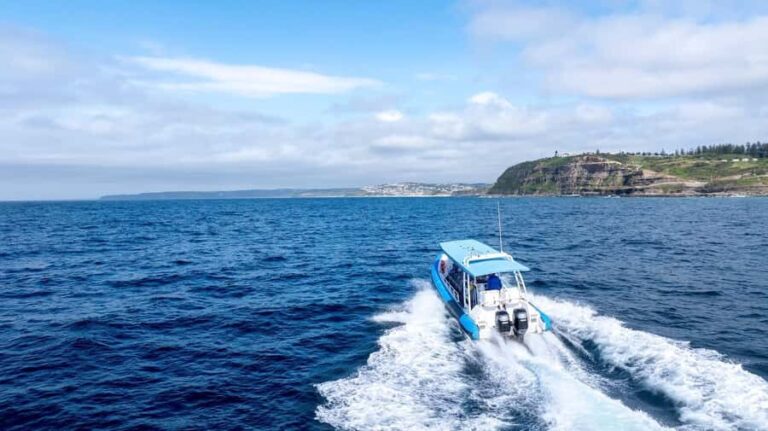 Coastal 2.5-hour Adventure Boat Tour from Newcastle - What You Can Expect on the Tour