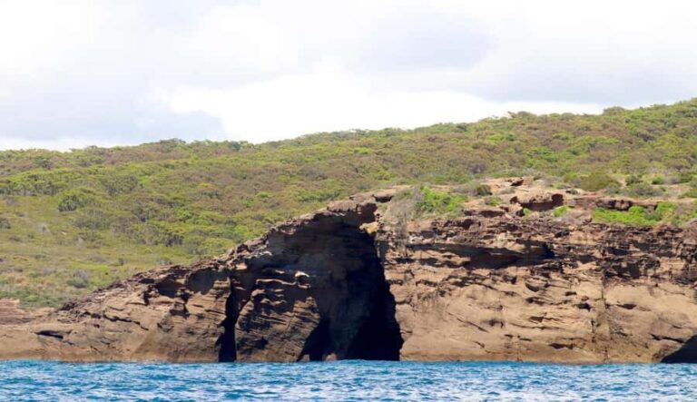 Coastal Boat Tour from Lake Macquarie - An In-Depth Look at the Coastal Boat Tour