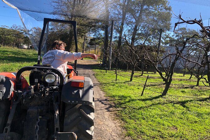 Coastal Scenic Food & Wine Trail - Transportation and Comfort