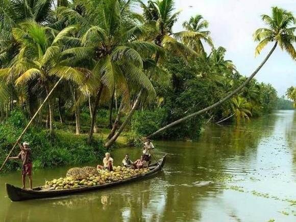Cochin : Alleppey/Alappuzha Backwater Canoe (Shikara) Cruise - The Boat, Guides, and Crew: What to Expect