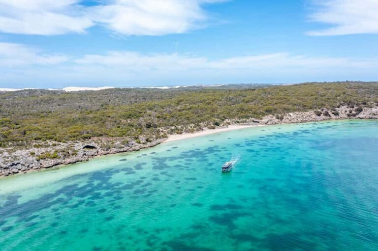 Coffin Bay: Oyster Farm Boat Tour with Wading & 12 Oysters - Wildlife and Scenic Views