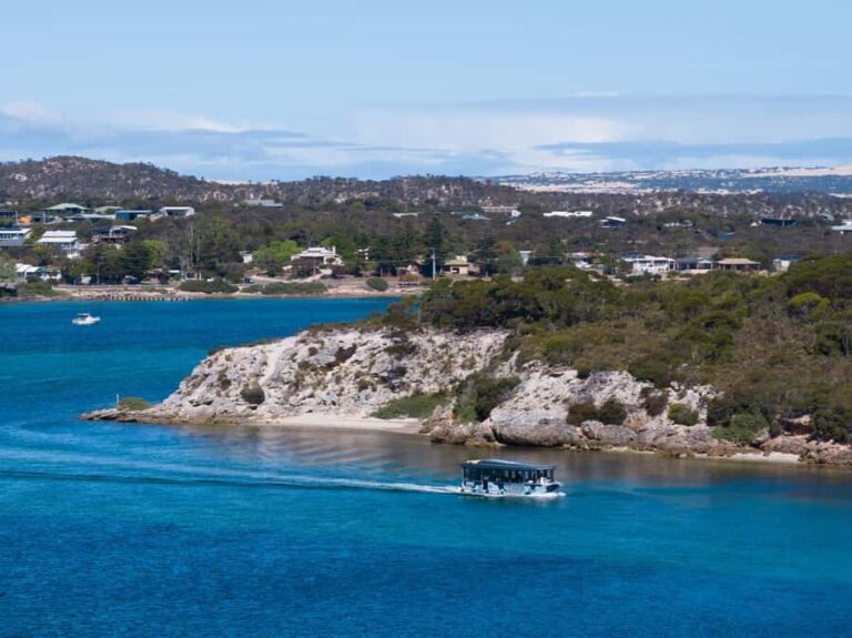 Coffin Bay: Short and Sweet Oyster Farm Tour - Detailed Breakdown of the Experience