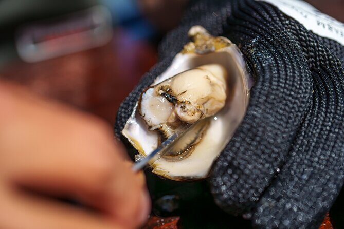 Coffin Bay Tour with Oyster Shucking and Off Road Adventure - Final Thoughts: Who Will Love This Tour?