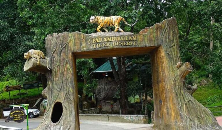 Coimbatore Day Tour: Forest, Wildlife & Hill Station Trip - Exploring the Itinerary in Detail