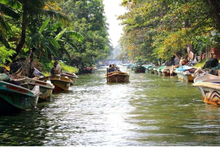 Colombo/Negombo: Muthurajawela & Dutch Canal Boat Adventure - Key Points