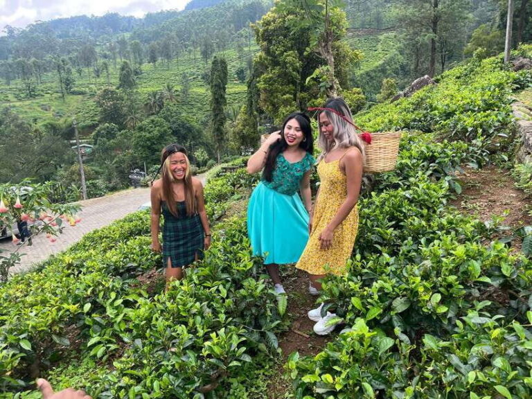 Colombo: Nuwara Eliya: Tea Gardens,Colonial Charm & High Tea - Transportation and Logistics
