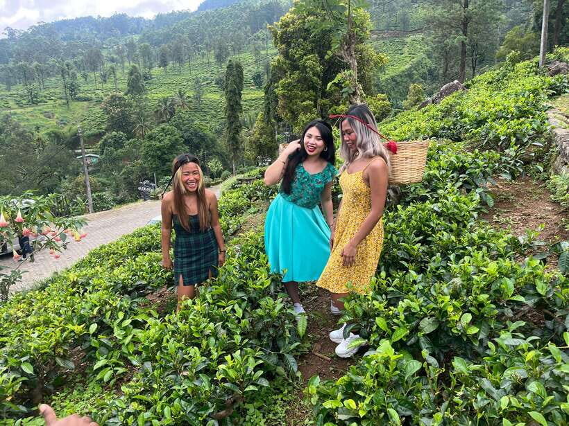 Colombo: Nuwara Eliya: Tea Gardens,Colonial Charm & High Tea - Transportation and Logistics