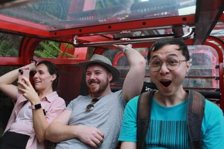 Combo: Blue Mountain Tour + Sydney Hop-on-Hop-off Bus Ticket - The Experience of Scenic Rides and Wildlife Encounters