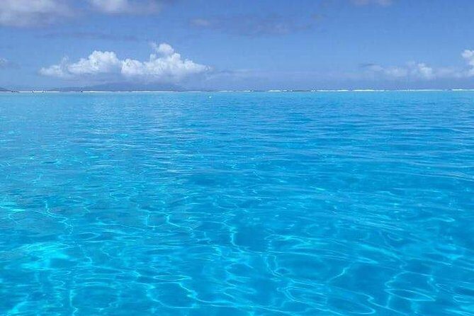 Combo Diving and Snorkeling Half-Day Tour - Detailed Itinerary & What to Expect