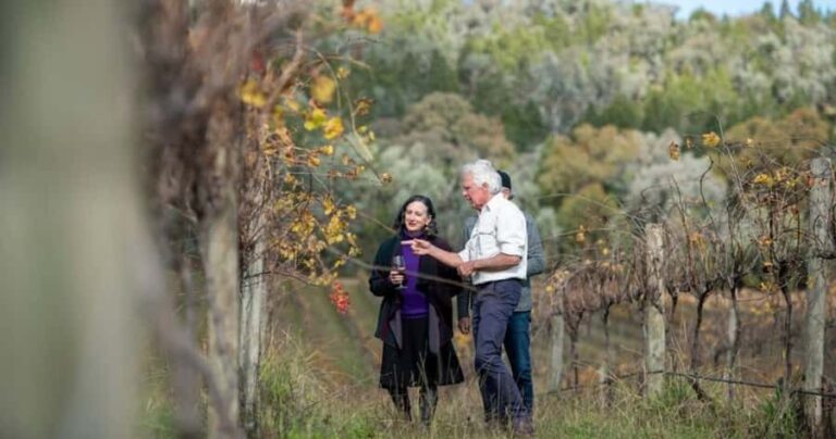Combo: Hunter Valley Tour + Sydney Hop-on-Hop-off Bus Ticket - Authentic Experiences and Visitor Feedback