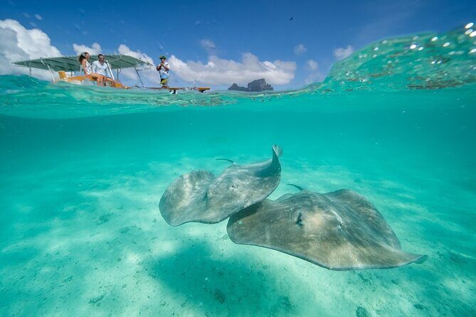 Combo snorkeling + motu lunch + jet ski group tour full day - Why This Tour Offers Great Value