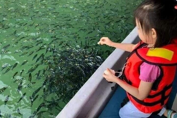 Combo:Langkawi Snorkeling & Tg Rhu mangrove private boat tour - The Practicalities: What You Need to Know