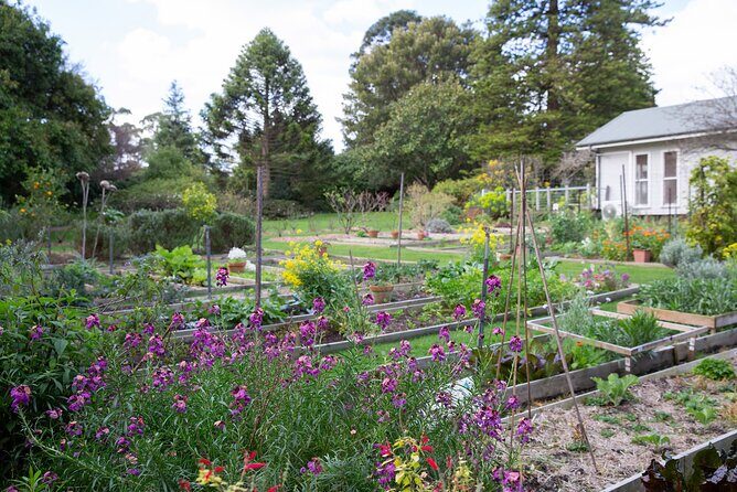 Como House: Guided Garden Tour - Discovering Como House Gardens: A Detailed Look