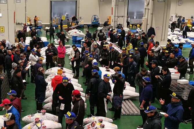 Complete Tuna Auction & Toyosu Fish Market Tour - Final Thoughts: Who Should Book?