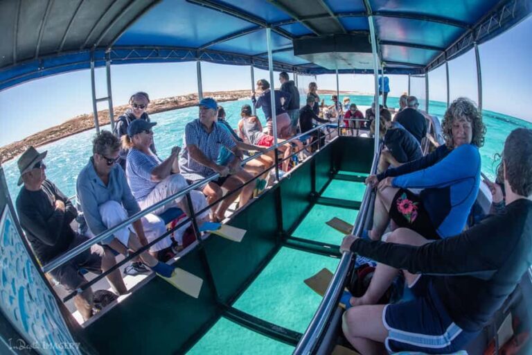 Coral Bay: 2-Hour Coral Viewing and Snorkeling - What to Expect on the Tour