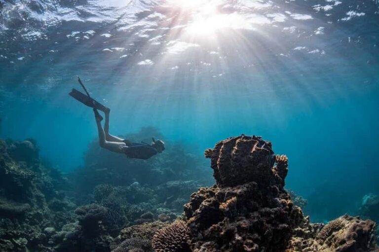 Coral Bay: Full Day Ningaloo Reef with Manta Rays Tour - What Are the Key Points?