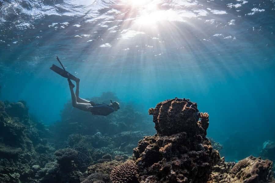 Coral Bay: Full Day Ningaloo Reef with Manta Rays Tour - What Are the Key Points?