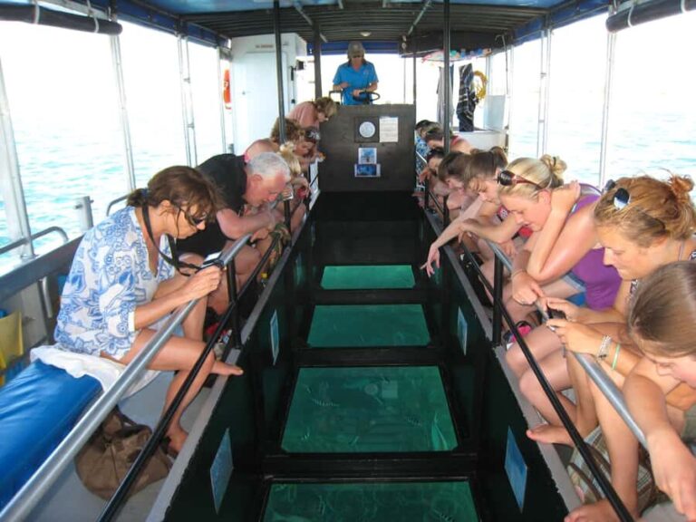 Coral Bay Glass-Bottom Boat Tour - Authentic Experiences from Travelers