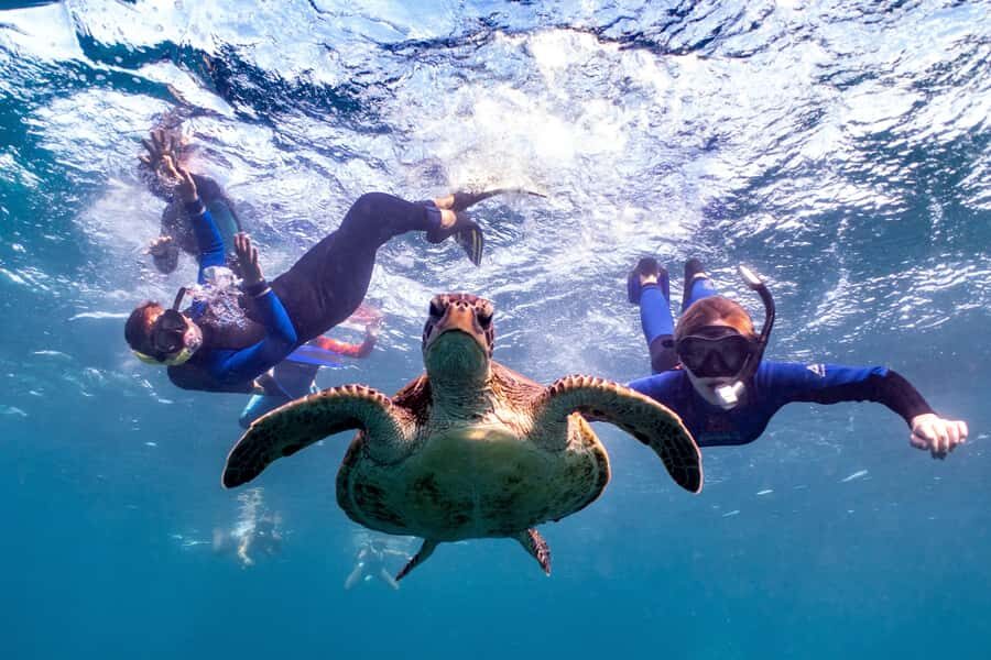 Coral Bay: Marine Eco Safari - Swim With Manta Rays - Itinerary Breakdown: What’s in Store?
