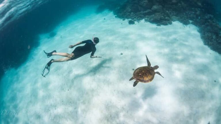 Coral Bay: Ningaloo Reef 3-Hour Turtle Ecotour - Who Will Love This Tour?