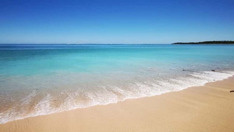 Coral Coast Adventure: Biausevu Waterfall & Natadola Beach - What You’ll Love About This Tour