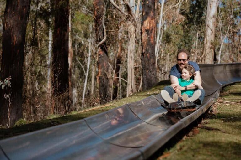 Corin Forest: Alpine Slide Ticket - The Itinerary Breakdown: What’s in Store