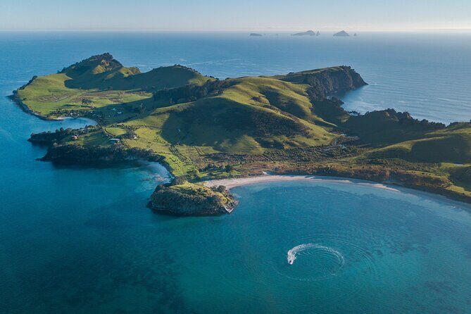 Coromandel Adventure and Wildlife Boat Tour to Aldermen Islands - The Sum Up