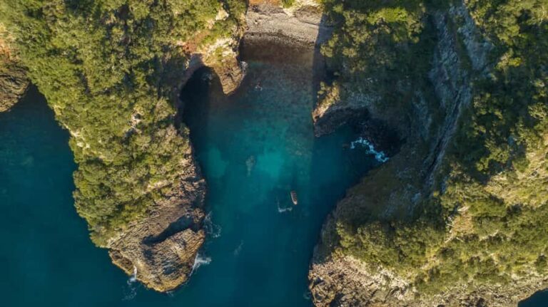 Coromandel: Aldermen Islands Marine Reserve Wildlife Cruise - The Itinerary: What You Can Expect
