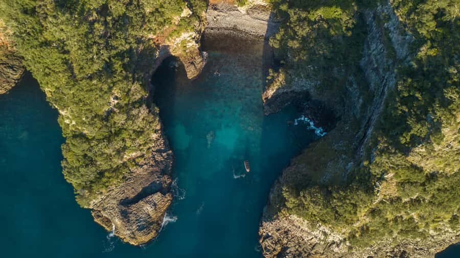 Coromandel: Aldermen Islands Marine Reserve Wildlife Cruise - The Itinerary: What You Can Expect