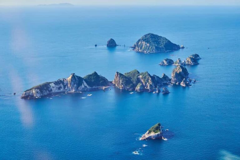 Coromandel and Cathedral Cove Scenic Flight from Tauranga - What to Expect During the Flight