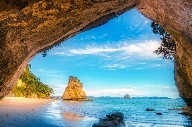 Coromandel Cathedral Cove and Hot Water Beach - Transportation, Timing, and Group Size