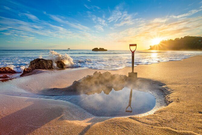 Coromandel Cathedral Cove and Hot Water Beach Tour from Auckland - What Travelers Say and Why It Matters