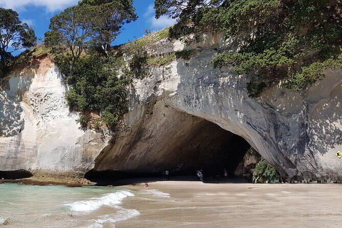 Coromandel Cathedral Cove Walk & Hot Water Beach Day Tour - Who Should Consider This Tour?