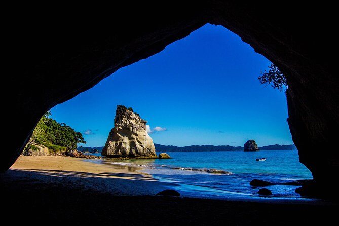 Coromandel Coastal Experience - Small Group Tour from Auckland - Who Should Consider This Tour?
