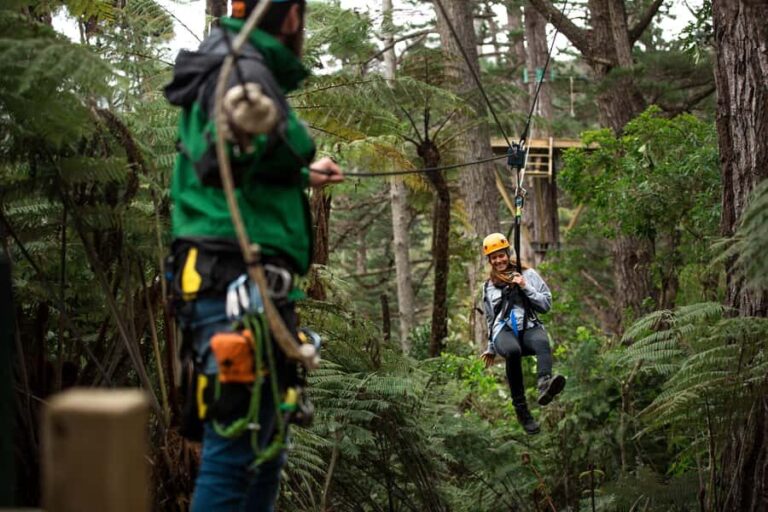 Coromandel: Guided Zipline Tour Experience - What to Expect During the Tour