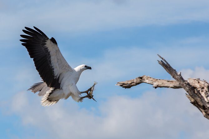 Corroboree Billabong Wetland Cruises - 1.5 hour Morning cruise - Final Thoughts