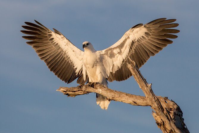 Corroboree Billabong Wetland Cruises - 2 hour Sunset Cruise - Who Will Love This Tour?