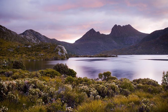 Cradle Mountain Day Tour Charter Service ( 3 days in advance - What Makes This Tour Stand Out?