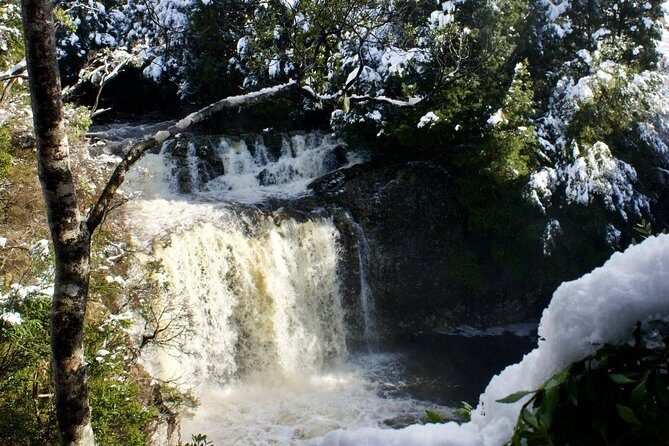 Cradle Mountain Day Tour from Launceston Including Lunch - Who Will Get the Most Out of This Tour?