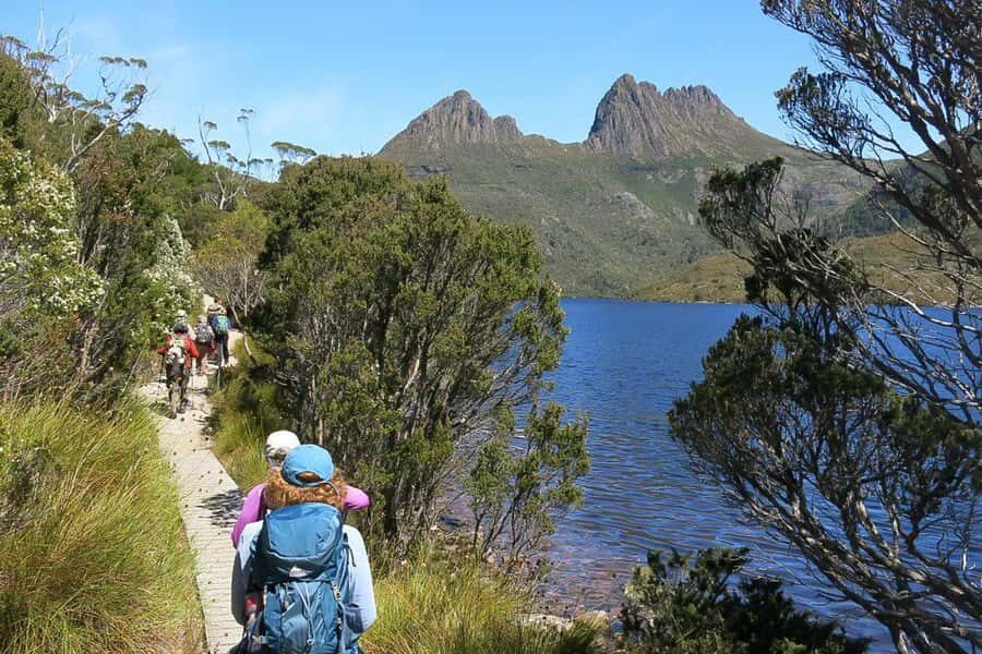 Cradle Mountain: Day Trip from Launceston with Lunch - Exploring the Iconic Cradle Mountain Landscape