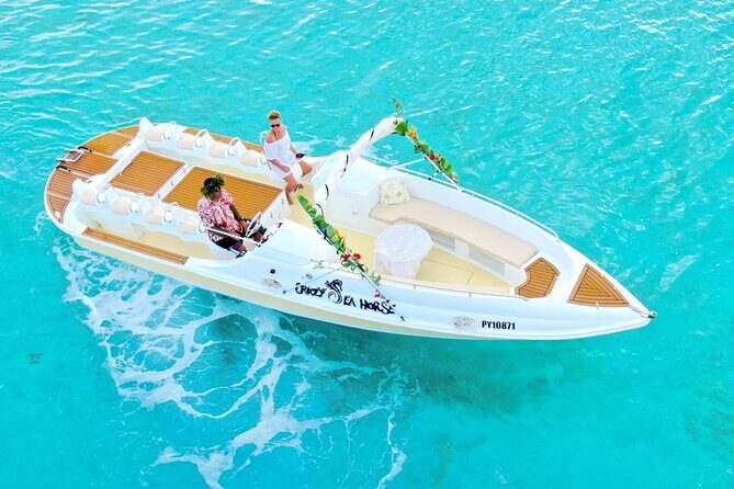 Crazyseahorseborabora Comfortable boat , sensational snorkeling . - The Guides and the Experience