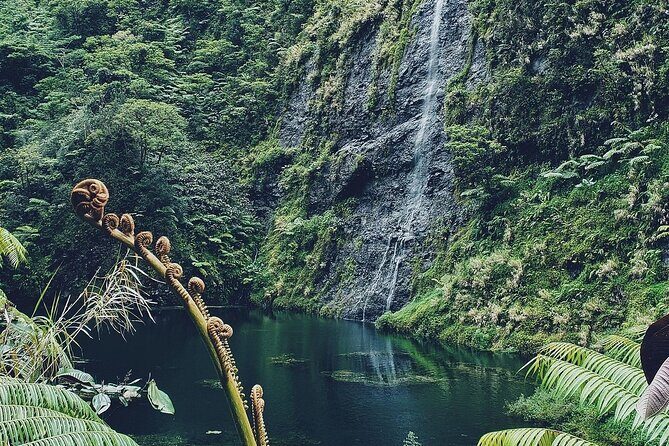 Crossing Over Tahiti Island Safari 4x4 - The Guides and Their Role