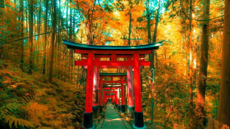 Crowd-Free Kyoto: Fushimi Inari, Nijo Castle & Kinkaku-ji - Itinerary Breakdown: What to Expect