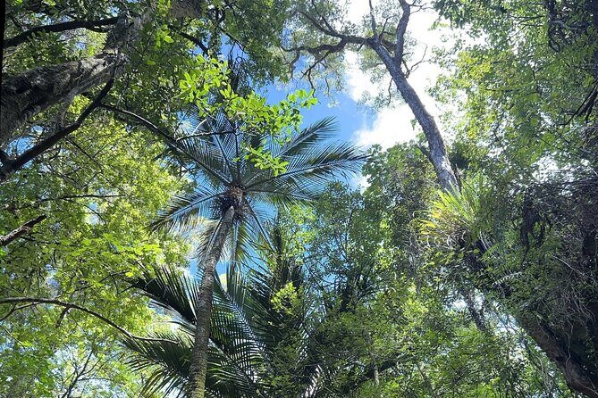 Cruise Abel Tasman to Golden Bay - Practical Considerations