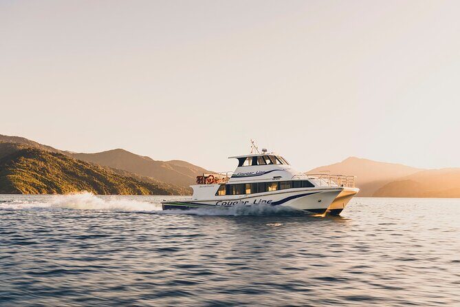 Cruise and Lunch at Furneaux Lodge - Practical Details for Travelers