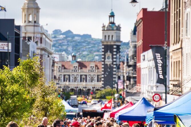 Cruise Dunedin City and Castle Tour - What Makes This Tour Stand Out?