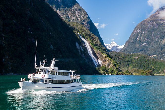 Cruise Milford NZ Small Boutique Cruise Experience - Final Thoughts