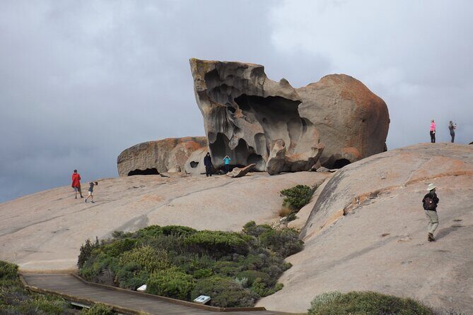 Cruise Ship Flinders Chase Tour - The Sum Up: Is This Tour Right for You?